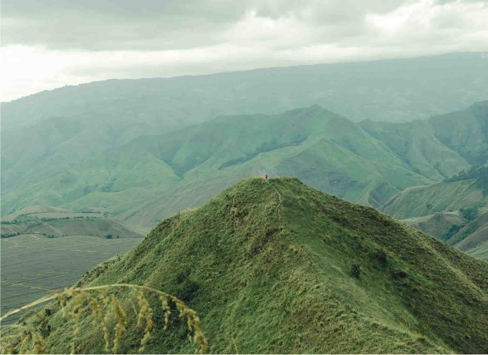 Ube Latte: alles über das trendige violette Getrank, seine Vorteile und einfache Rezepte
